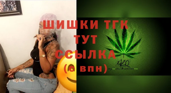 спиды Елизово