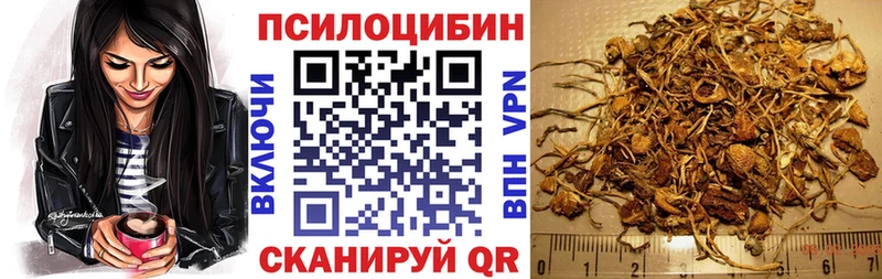 закладки  Железноводск  Галлюциногенные грибы Cubensis 