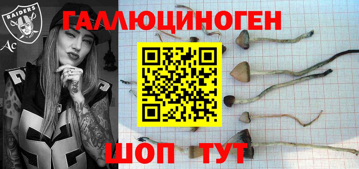 Галлюциногенные грибы GOLDEN TEACHER Железноводск