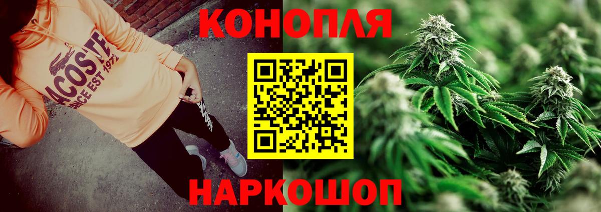 Каннабис план Железноводск